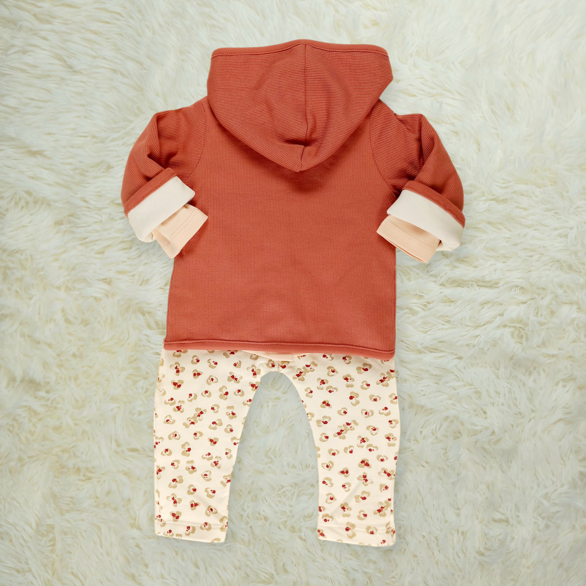 Completo Dafne